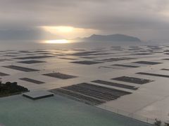 -北岐滩涂