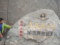 -大槐树寻根祭祖园