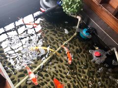 -尺山寸水日料(马桥满天星店)
