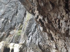 -塔云山