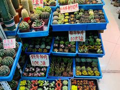 -无锡文化工艺品市场(槐古路店)