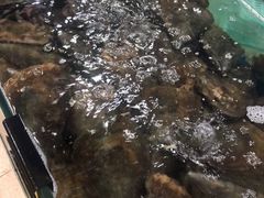 -绿雅居原生态农庄(小涌店)