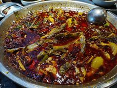 -小饕荟雅安贡椒鱼鲜馆(广福桥店)