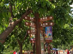 -御林古桑园