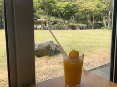 -雪绿茶博物馆