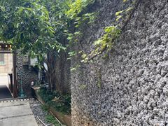 -巴厘龙虾·榜首油焖大虾(洞庭·艺术洋房店)