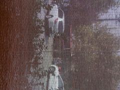 -黄狗猪头肉(运河路店)