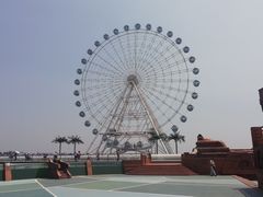 -秦皇岛乐岛海洋王国