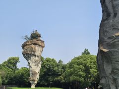 -鲁镇