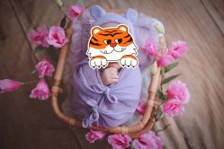 -小嘟嘟儿童摄影