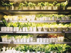 -V-ONE西雅图海鲜自助餐厅(仓山万达广场店)