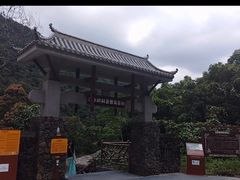 -海南热带雨林国家公园吊罗山景区