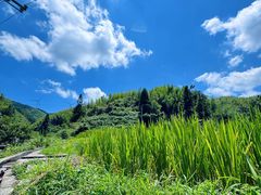 -仰天湖大草原