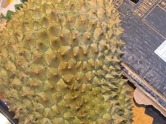 -泉州海丝野生动物世界