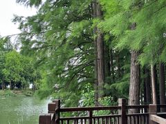 -东湖落雁景区