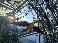 -沈阳植物园