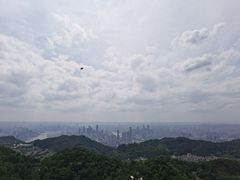 -大金鹰园