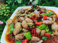 炝炒芒果螺-刘记糟粕醋海鲜烧烤