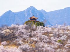 -白水寺森林公园