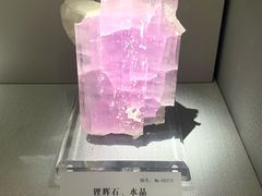 -湖南省地质博物馆