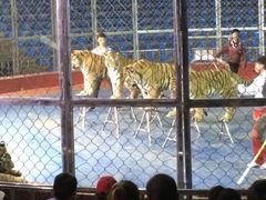 iphone_upload_pic-西安秦岭野生动物园