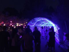 -昆山城市生态森林公园