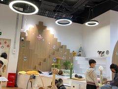 -COLOR PETS 撸猫馆·购猫·猫咖(长风大悦城店)