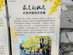 -大觉寺-停车场