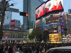 -涩谷区