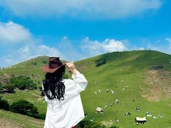 -大姆山草场