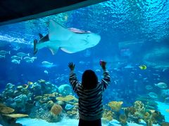 -西雅图水族馆