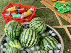 -七的湖·晚芳亭·阳澄湖农家菜·大闸蟹(莲花岛店)
