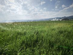 -敕勒川草原