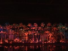 -三亚红色娘子军演艺公园景区