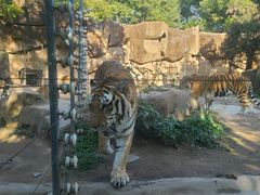 -荆州中山公园动物园