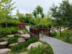 -莲花池公园