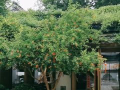 -鲤院·新中式美学·庭院餐厅(夫子庙店)