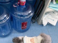 -博特宠物医院24h犬猫全科.骨科·异宠