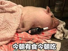 -许小树(国贸商城店)