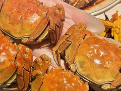 -红盔甲·小龙虾(天钥桥店)