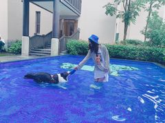 -上海崇明金茂凯悦酒店