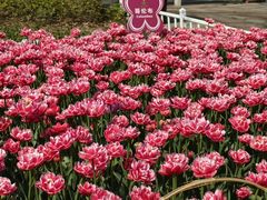 -玄武湖景区-情侣园游乐场