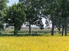 -光明小镇欢乐田园