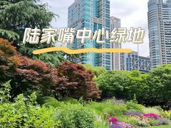 -陆家嘴中心绿地
