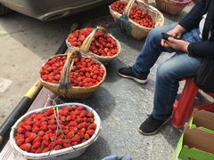 -聚庆楼吴山贡鹅(总店)
