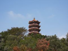 -深圳仙湖植物园