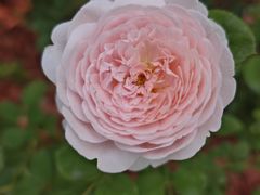 -滨河世纪广场公园