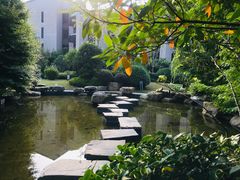 -上海崇明金茂凯悦酒店