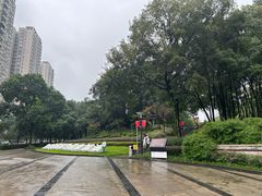 -重庆彩云湖湿地公园