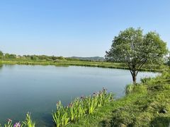 -良渚文化村